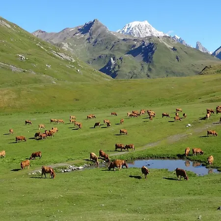 Le Panoramic